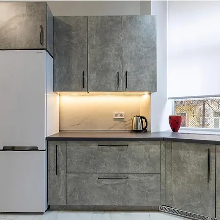 Apartment Vidfort леонтовича *